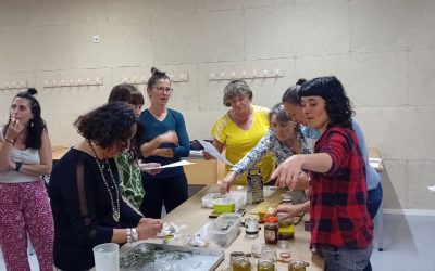 [CRÓNICA]: Taller práctico de plantas